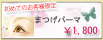 �V�K�l����L�����y�[��